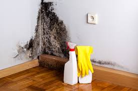 Best Mold Removal for HVAC Installations  in Gruetli Laager, TN